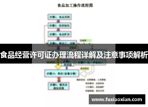 食品经营许可证办理流程详解及注意事项解析